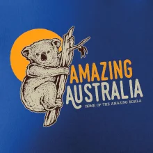 Amazing Australia koala Amazing Australia koala