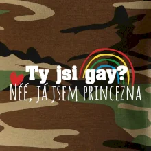 Gay princezna
