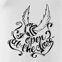 Harry - Zlatá strela