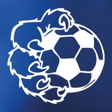 Medvedia laba futbal