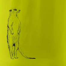 Surikata čierna kresba