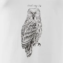 Sova bradatá Barred owl