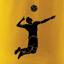 Volejbal náprah muž