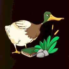 Geokáčer s keškou