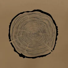 Letokruhy 65 bez veku