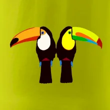 Dva barevní tukani (Moňas) Dva barevní tukani (Moňas)