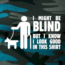 I might be blind I might be blind