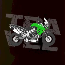 Cestovná enduro zelená