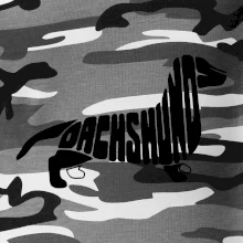 Jazvečík - Dachshund