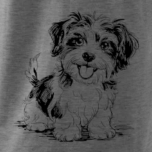 Havanský psík skica