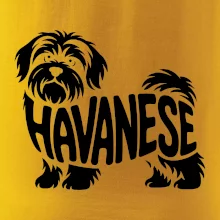 Havanese nápis v tele