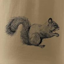Veverička kresba