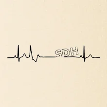 SDH EKG SDH EKG