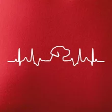 Labradorský retriever‎ EKG
