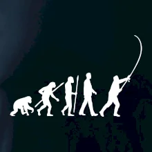 Evolúcia rybárčenie