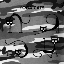 Mačacie jóga (Hana-creative)