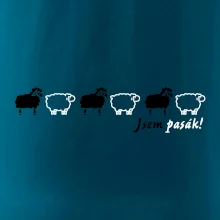 Som pasák - ovce v rade Som pasák - ovce v rade