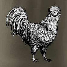 Kohút kreslený čiernobiely