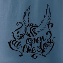 Harry - Zlatá strela