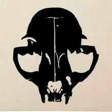Mačka - Cat skull