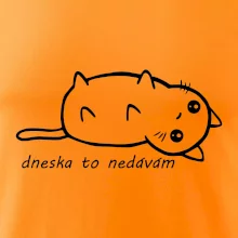Dnes to nedávam