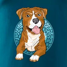 Americký staford kreslený v koliesku (Pecka design)