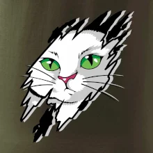 Kočka v roztrženém triku