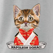 Napoleon domáci mačka