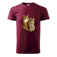 Mačky vectorizované (Moňas)