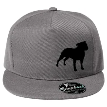 Americký stafordšírsky teriér Na prsníku