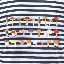 Huby farebné Huby farebné