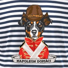 Napoleon domáci kríženec