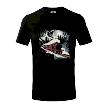 Hogwarts Express barevný