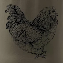 Sliepka čiernobiela