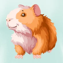 Morča - kreslené, bielo oranžové