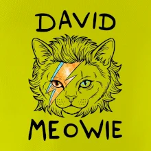 David Meowie