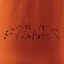 Americký stafordšírsky teriér v rôznych pozíciách