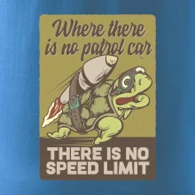 Korytnačka na cestách