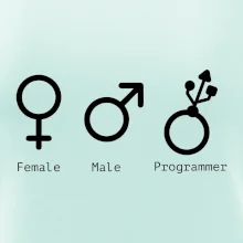 Female male programmer