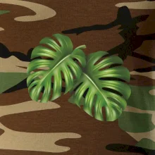 Monstera - dva listy Monstera - dva listy