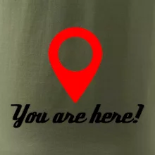 You are here