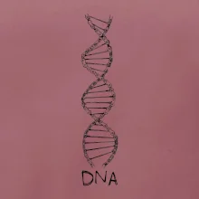 Cyklistovo DNA