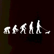 Jazvečík Evolúcia muž