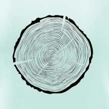 Letokruhy 55 bez veku Letokruhy 55 bez veku