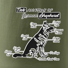 Nemecký ovčiak - Anatómia