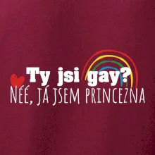 Gay princezna Gay princezna