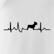 EKG Francouzský buldoček z boku