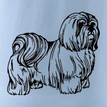 Shih-tzu - chlpatý Shih-tzu - chlpatý