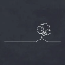 Strom s vtáčikom linka