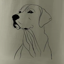 Labrador čierna kresba